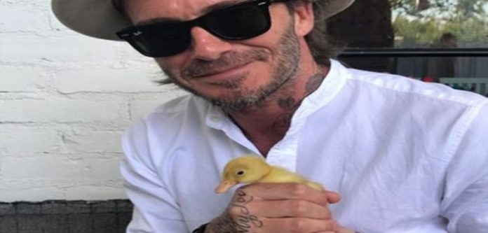 Un média anglais révèle que Beckham chercherait à acheter une île pour son épouse. Le joueur réagit!