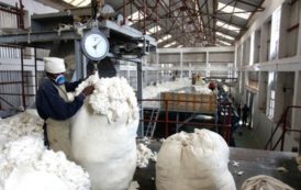 Le coton dynamisera la croissance au Bénin attendue à 7,6% en 2019