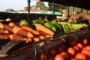 À Casablanca, un premier fast-food veggie et bio