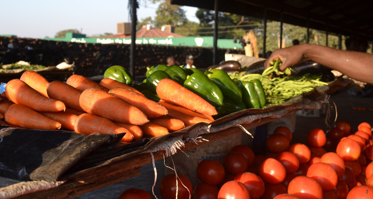 Tanzanie : Des agriculteurs biologiques peinent à satisfaire la demande du marché international