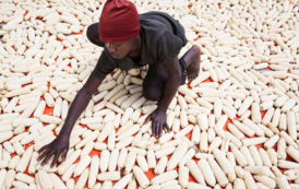 Le Rwanda durcit les règles en matière de sécurité alimentaire