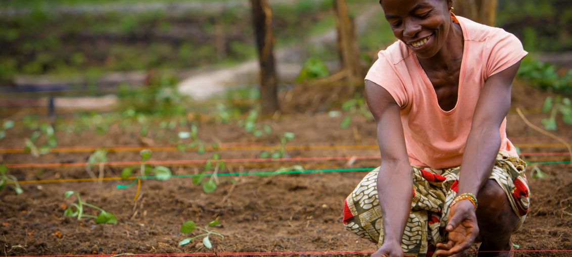 Cameroun / Agriculture: La Salon International De L’agriculture Emménage À Douala