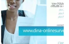 Dina Surveys, la plateforme innovante qui permet d’effectuer les études de marché en ligne au Cameroun