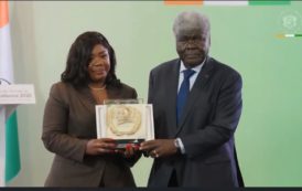 Interview – Stéphanie Nabo-Lehou, Directrice Générale de Yelen Art