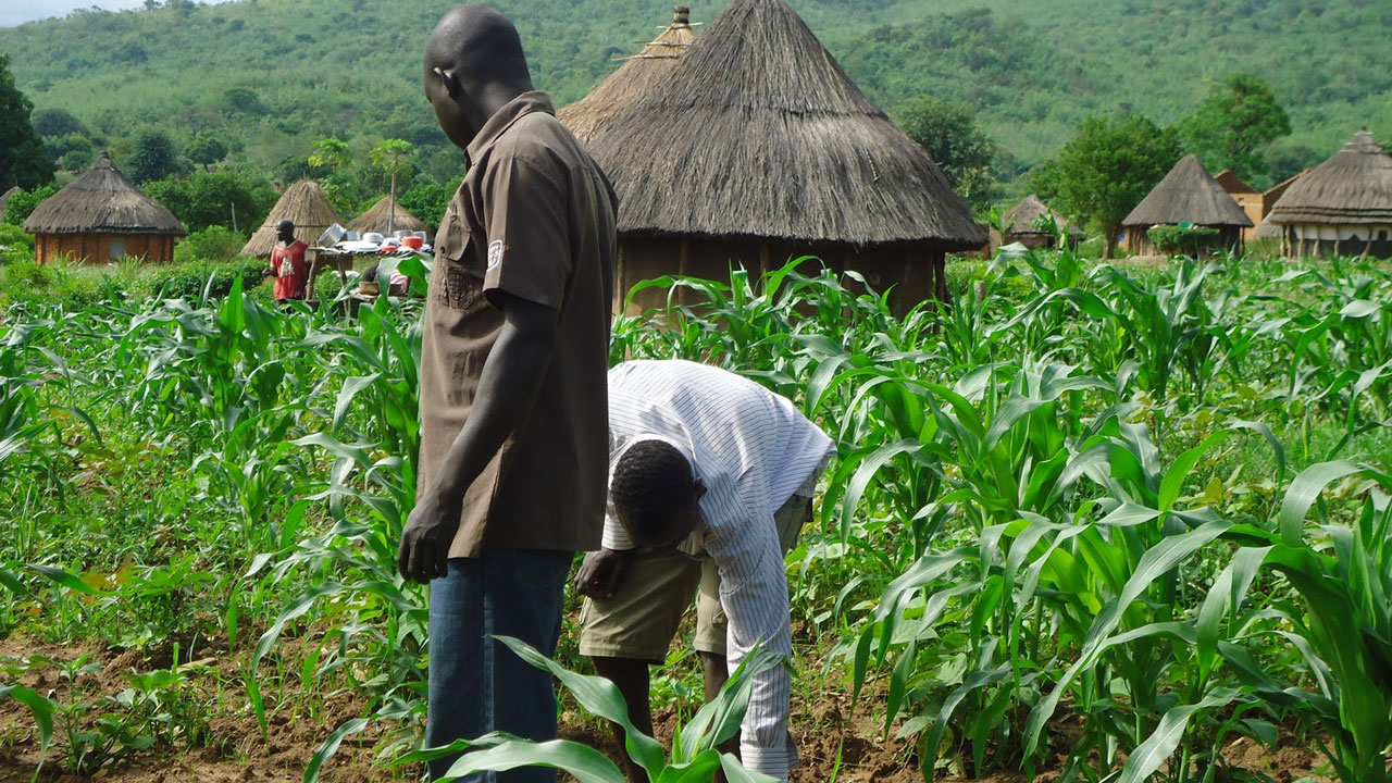 Government may adopt digital tech to reach small-scale farmers