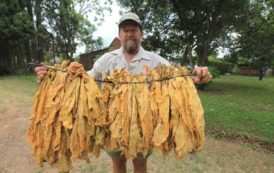 Evicted White Farmer to Get His Land Back in the New Zimbabwe