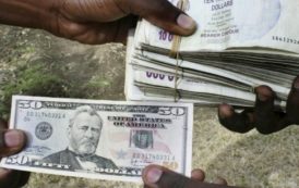 Zimbabwe : dévaluation en vue de la nouvelle monnaie locale