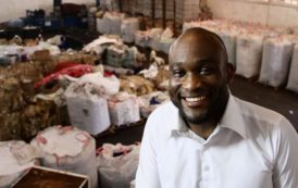 Africa Global Recycling, la PME togolaise qui transforme les déchets en or