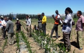 La BAD lancera 12 projets en faveur des PME agricoles dans 6 pays africains, du 27 au 29 mars prochain