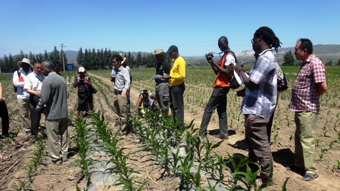 La BAD lancera 12 projets en faveur des PME agricoles dans 6 pays africains, du 27 au 29 mars prochain